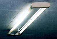 Photograph of a florescent light tube